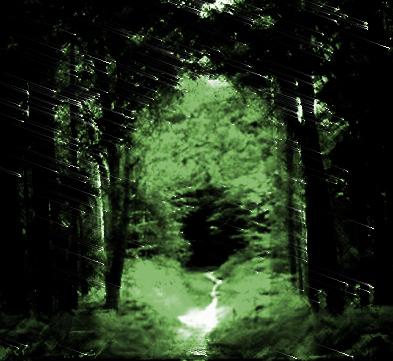  Le chemin 
